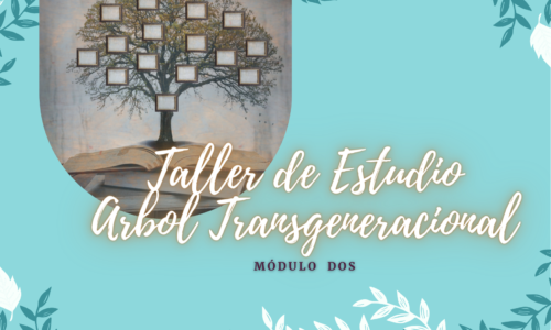 Taller de estudio árbol Transgeneracional